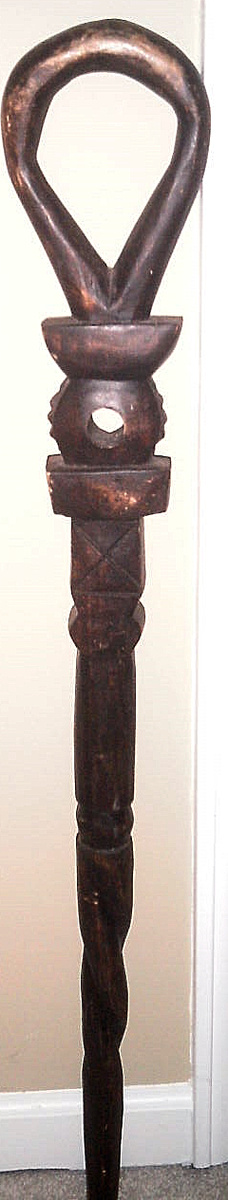 African  Walking Stick? 