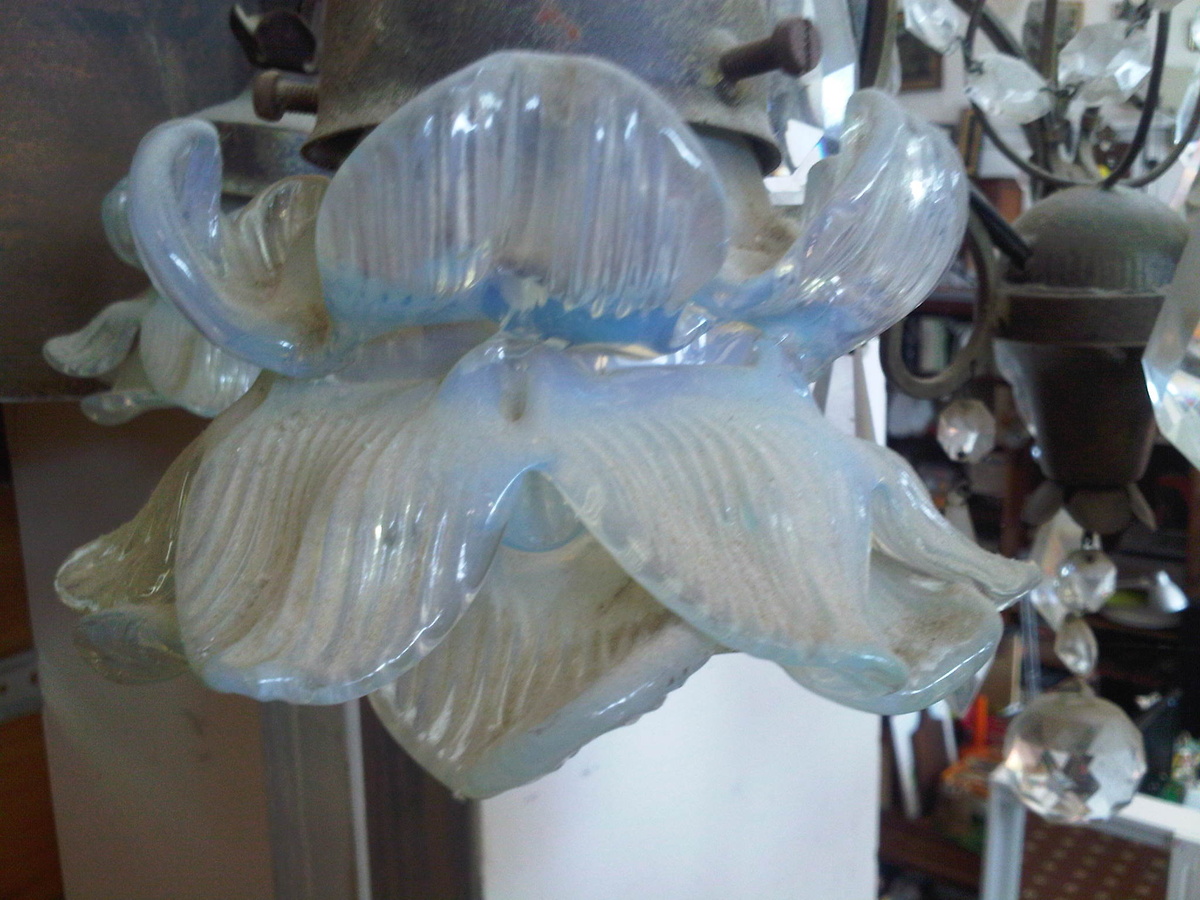 Six Opale Light-Blue double Rose Shade 