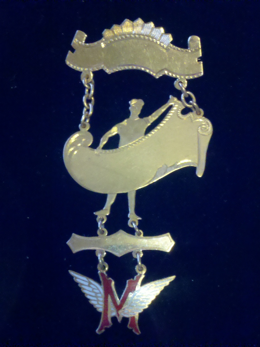 school .badge ...pin...???