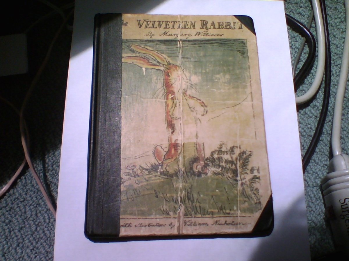 VELVETEEN RABBIT OR HOW TOYS BECOME REAL  HANDWRITTEN 129 NO COPY DATE