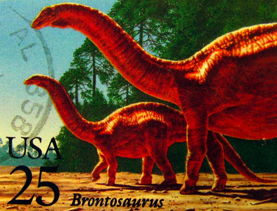 Dinosaur Stamp Set - - Fat Brain Toys