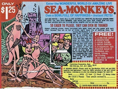 The Mystery of The Rare Male Sea Monkey