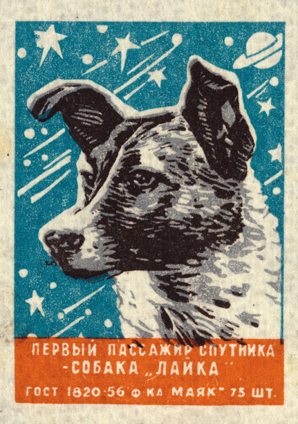 what breed was laika the spacedog